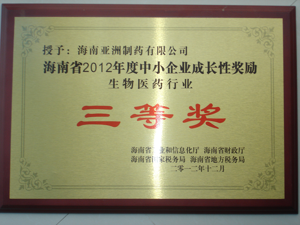 12年成長性企業(yè)三等獎